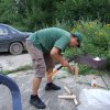 2009-07-25 11-11-47 - DSCF4284